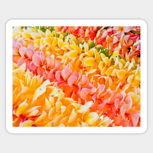 Plumeria leis in hanging Sticker